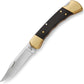 Buck Knives 110 Folding Hunter