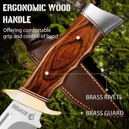 NedFoss  The Ultimate Outdoor Companion For Amazon dropshipping